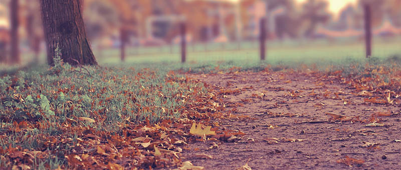 高效且节能环保的短信测试app