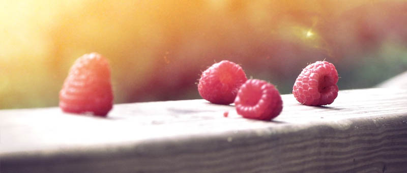 手机号接收平台